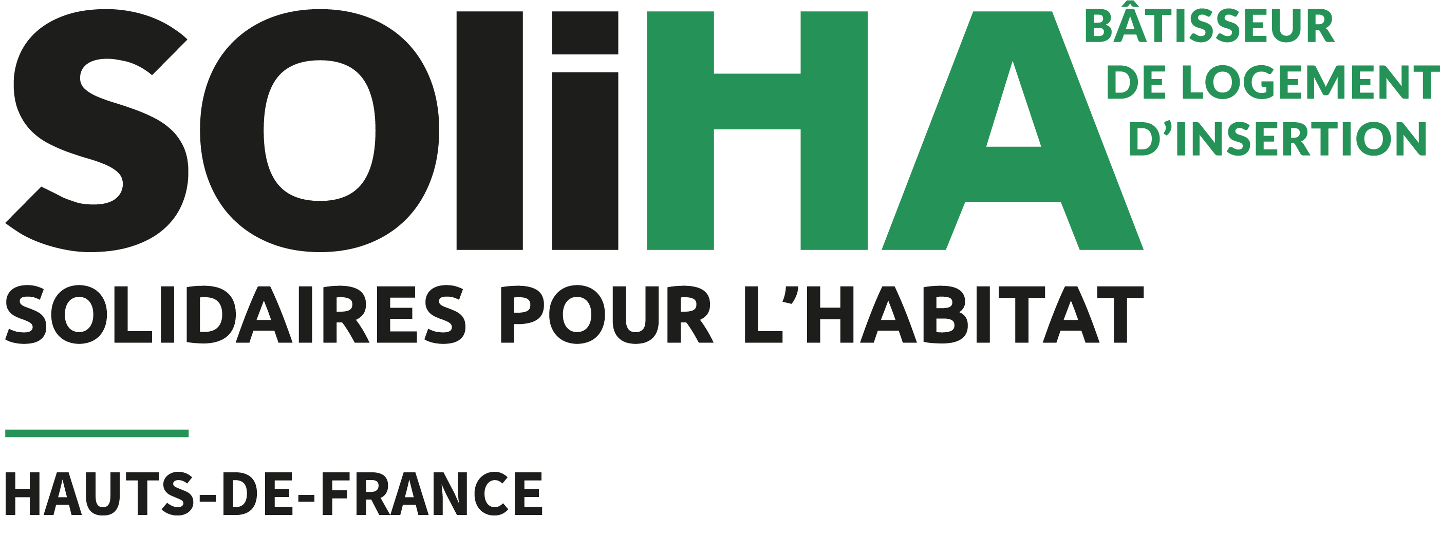Logo BLI HDF